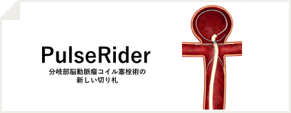 PlusRider