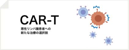 CAR-T細胞療法