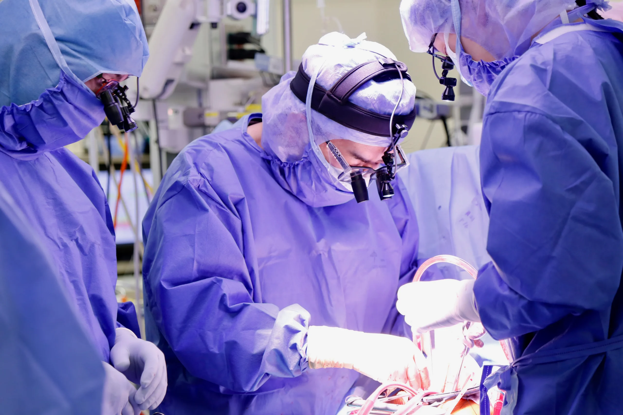 心臓血管外科手術見学の様子